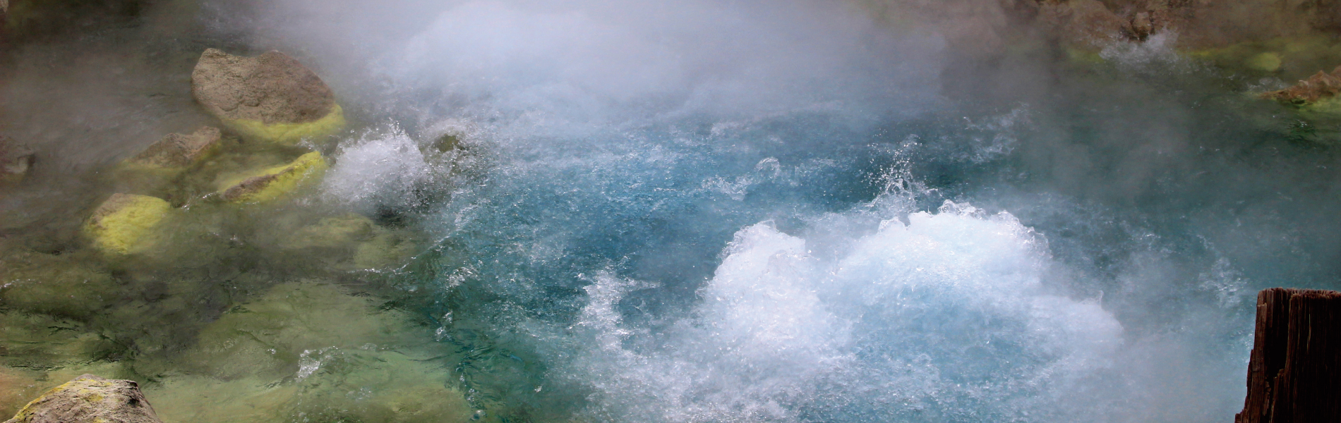 シンプルでカスタマイズしやすいWordPress.org登録テーマ